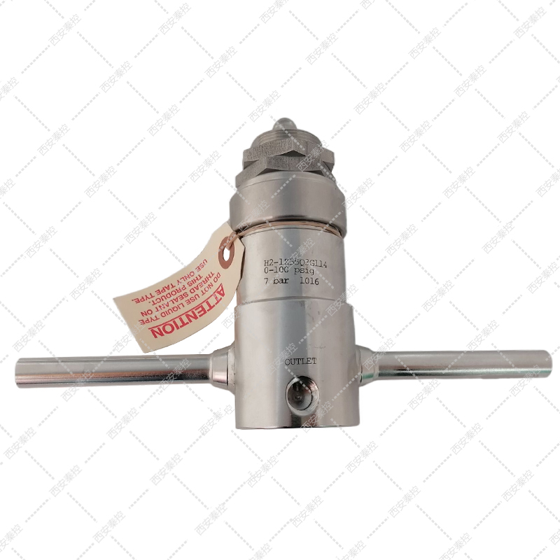 H2-1D55Q3D111/0-25psi美国GO蒸汽汽化器