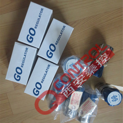 H2-1D55Q3D111/0-25psi美国GO蒸汽汽化器