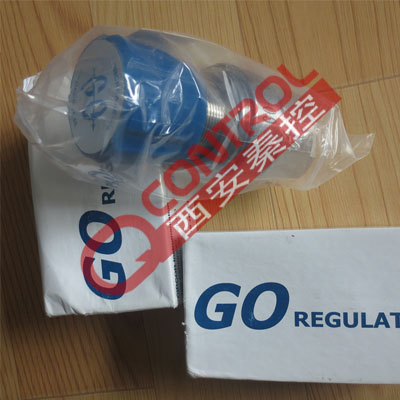 H2-1D55Q3D111/0-25psi美国GO蒸汽汽化器